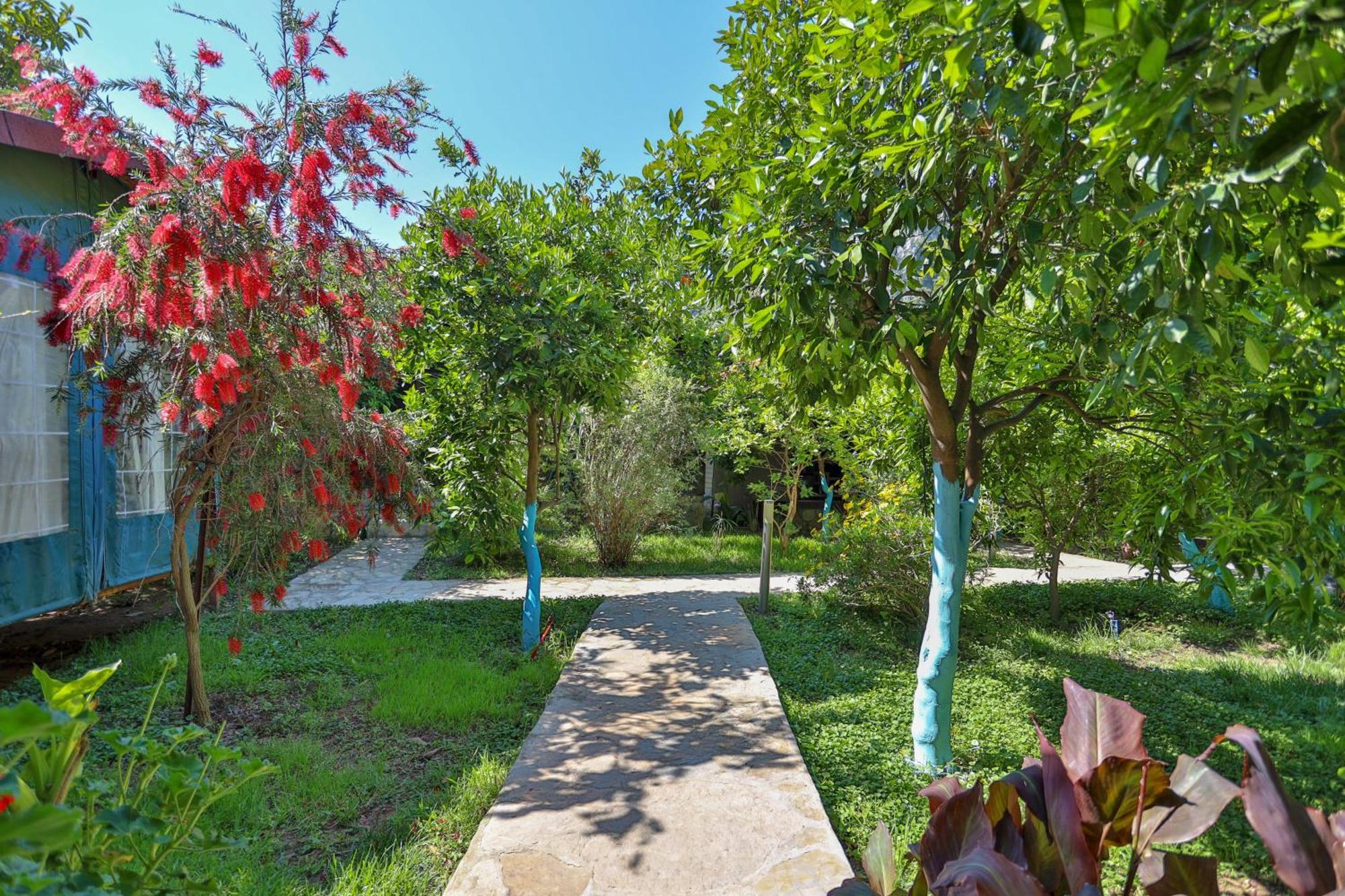 Cinderella Pension & Bungalow Çıralı Exterior foto